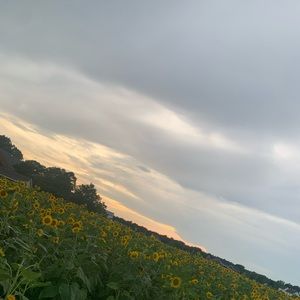 Meet your Posher, Daisy